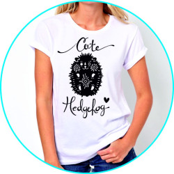 cute hedgehog